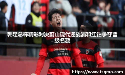 球信网平台