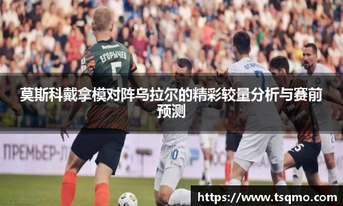 球信网