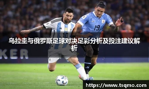 球信网APP